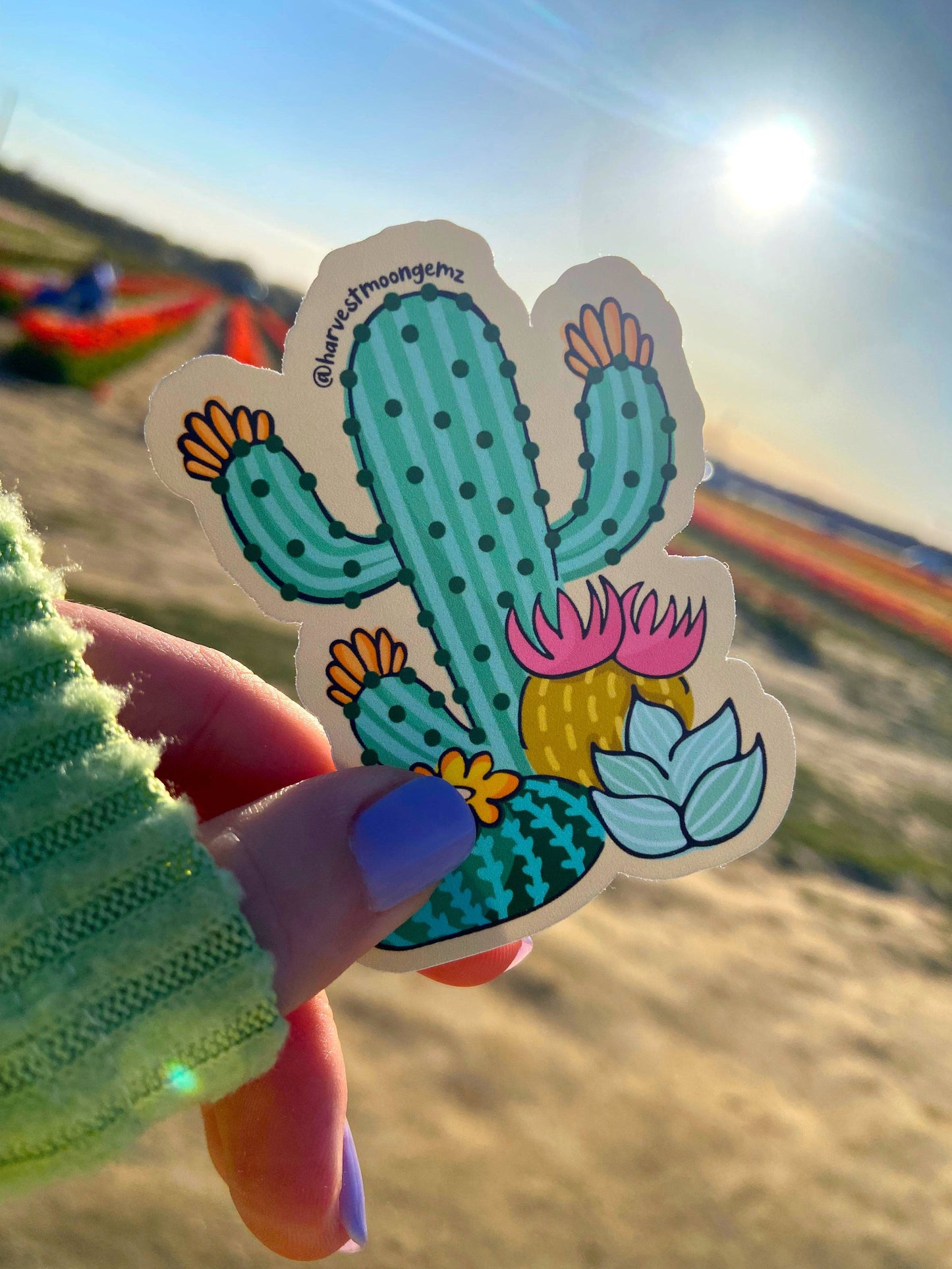 Cactus Succulents Sticker Harvest Moon Gemz