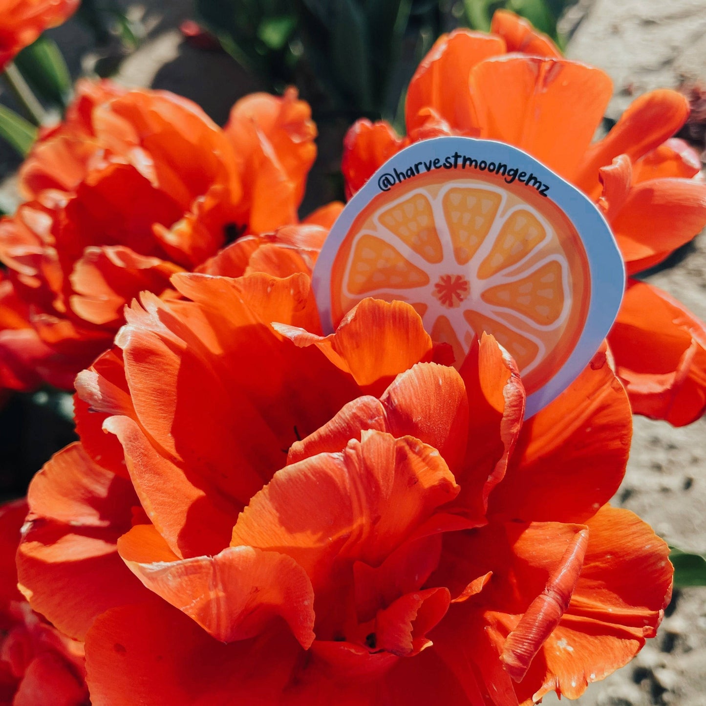 Orange Slice Sticker Harvest Moon Gemz