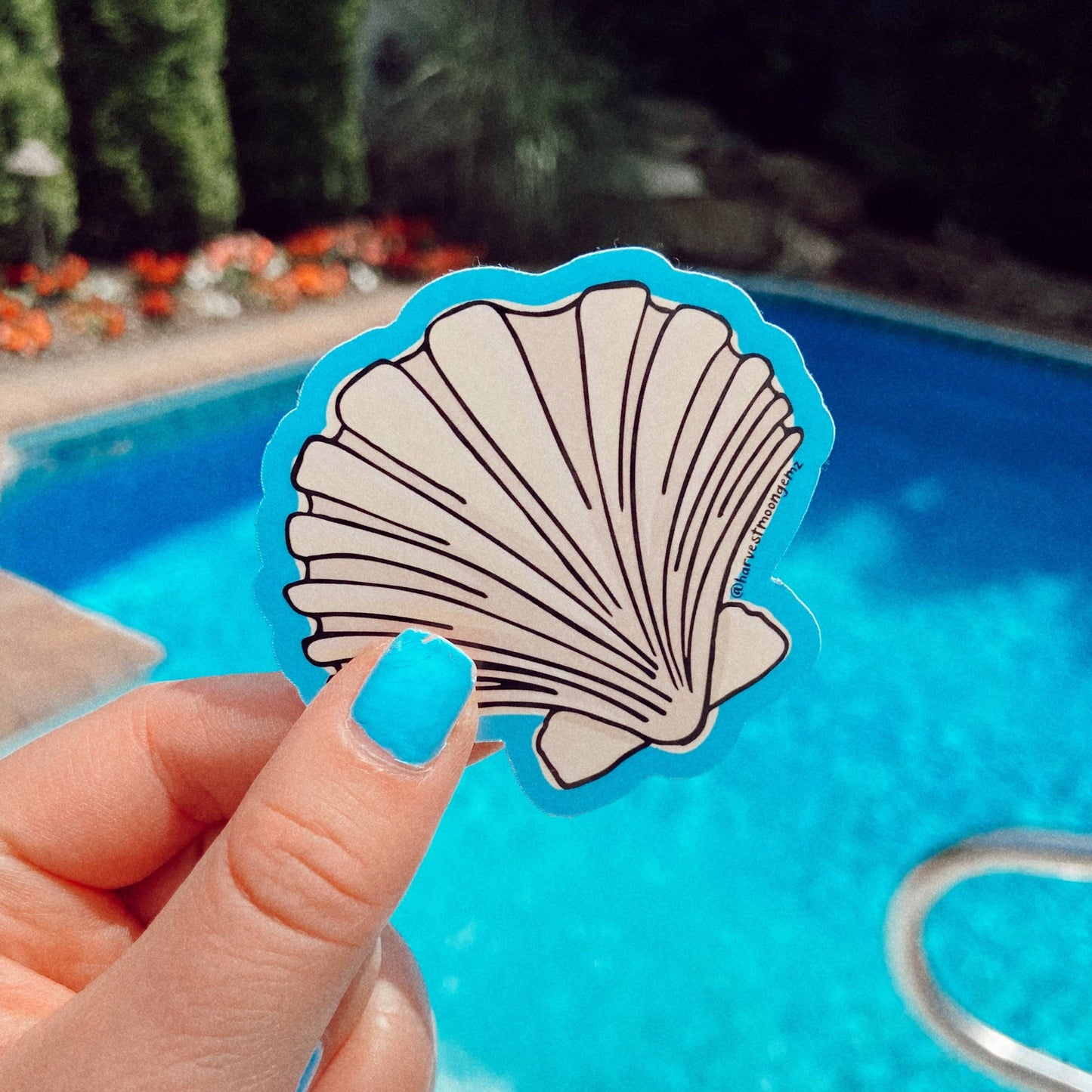 Shell Sticker Harvest Moon Gemz